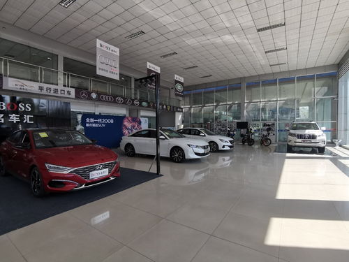 汽車銷售精英 專業(yè)素養(yǎng)與卓越服務(wù)的締造者