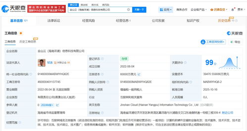 金山云旗下海南洋浦信息科技增資至6億美元，強化信息系統集成服務布局