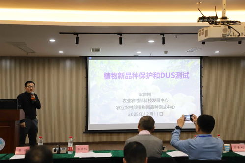 以技術(shù)創(chuàng)新驅(qū)動(dòng)產(chǎn)業(yè)升級(jí) 全國馬鈴薯種業(yè)高質(zhì)量發(fā)展交流會(huì)在渝召開，共探農(nóng)業(yè)科技研發(fā)新路徑