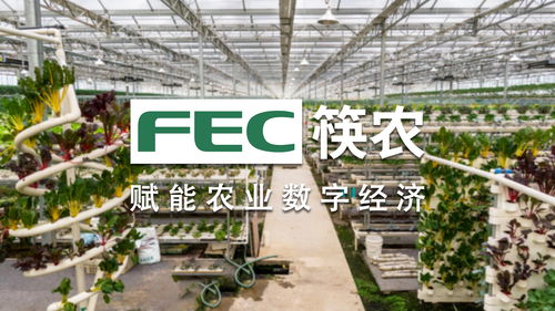 匠心獨運 FEC筷農科技成就智慧農批第一品牌
