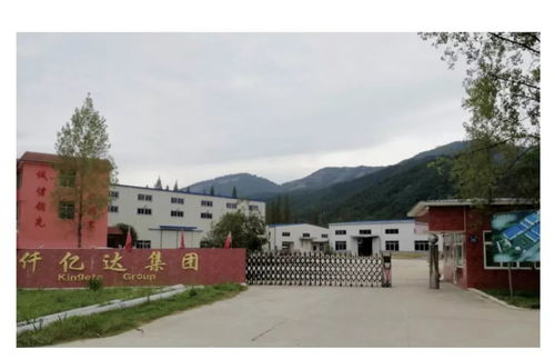 炭基肥創新引擎，綠色農業新篇章——福建龍創農業科技的自主創新之路